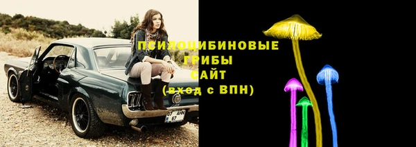 спайс Костерёво