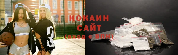 гашик Коряжма