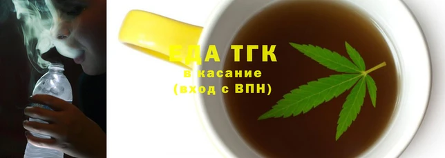 гашик Коряжма
