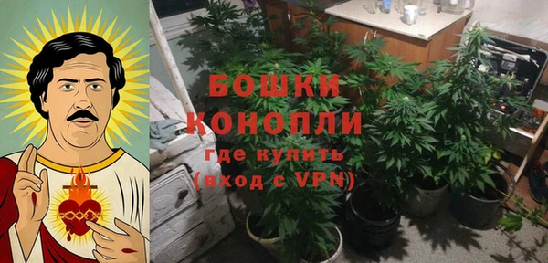 гашик Коряжма