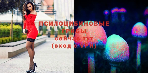 гашик Коряжма