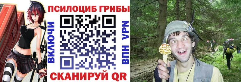 Псилоцибиновые грибы прущие грибы  Динская 